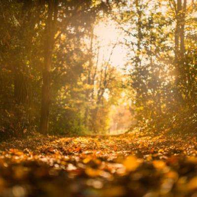 b体育手机版官网最新版本下载