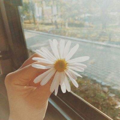 大发黄金版app下载